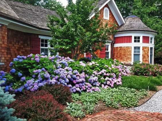 Colorful flowers and bushes in front of a house.