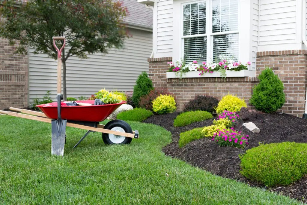 Gardening tools and flowers by the house.