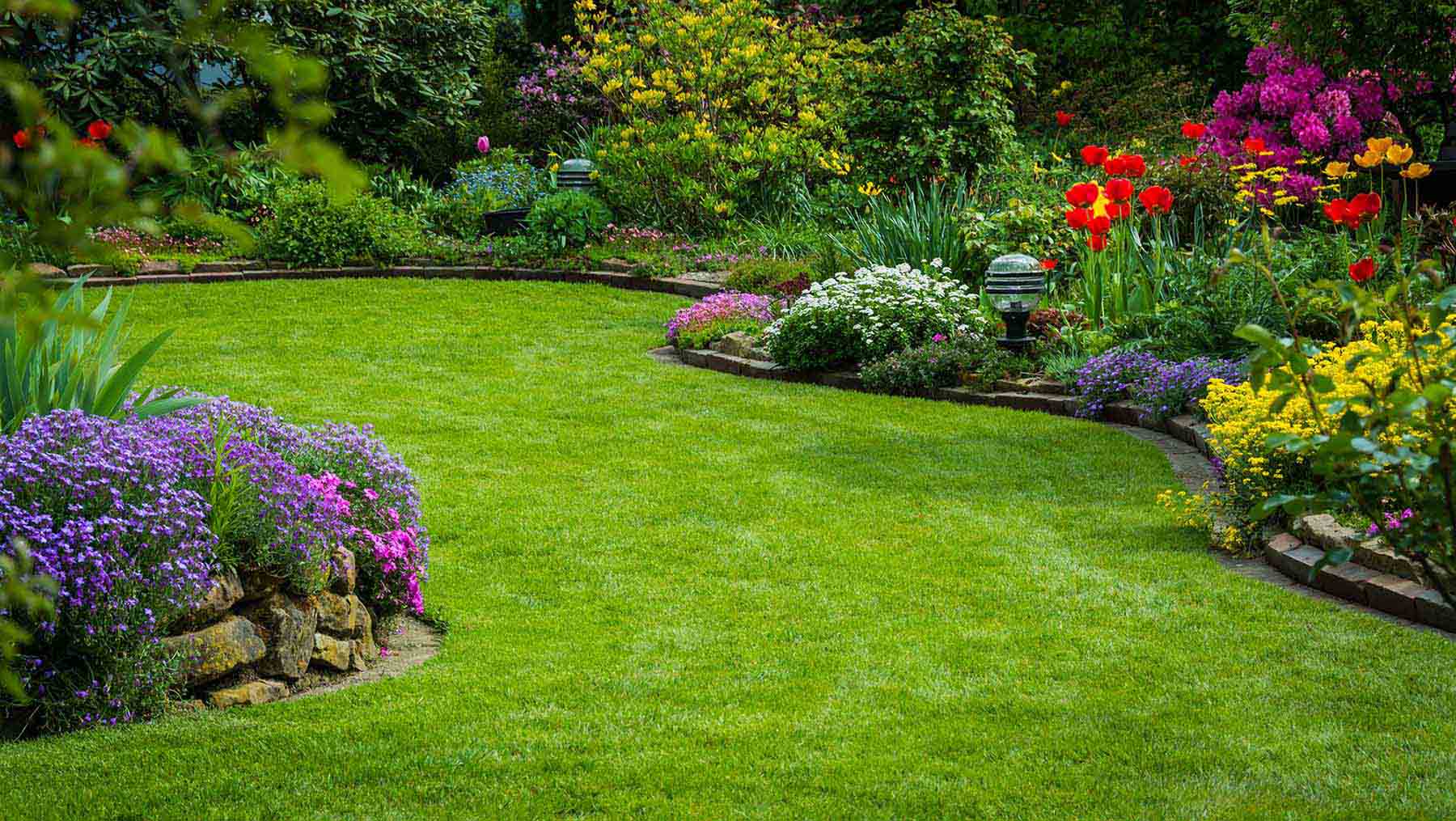 A garden with a lawn, flowers and bushes.