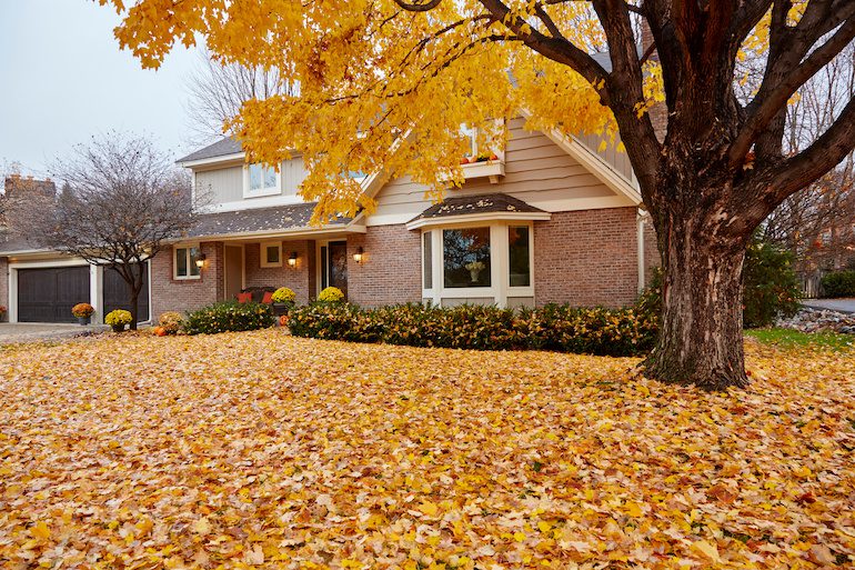 A house with fallen leaves in the front yard.