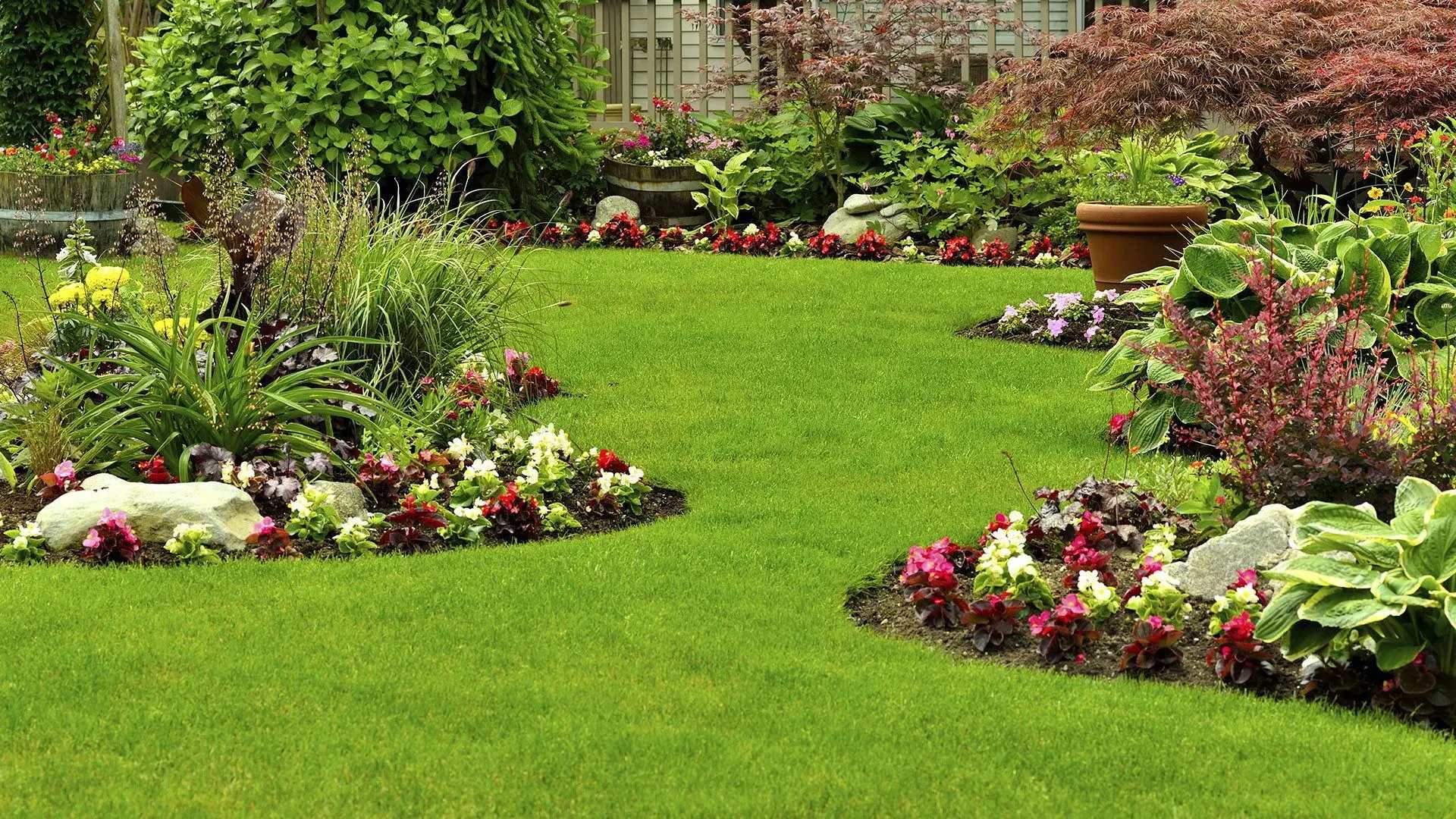 A garden with green grass and many flowers.