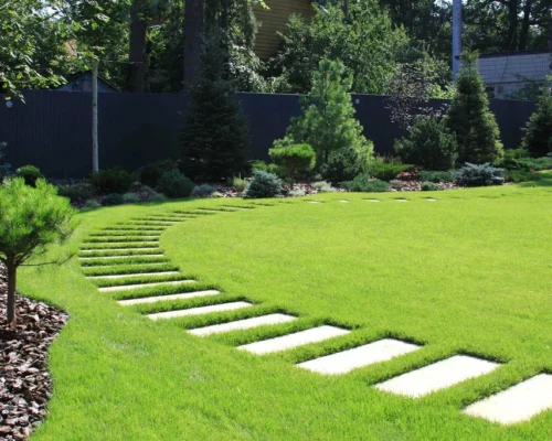 A garden with a lawn, trees, and a path.