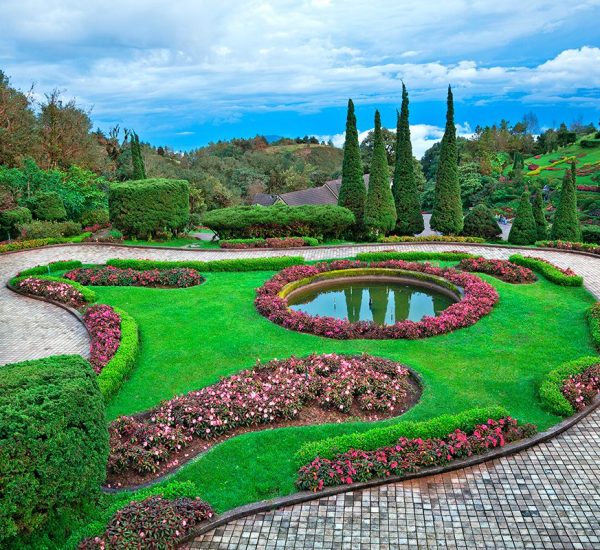 A garden with a circular pond and colorful flowers.