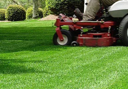 Man mowing green lawn with a riding mower.