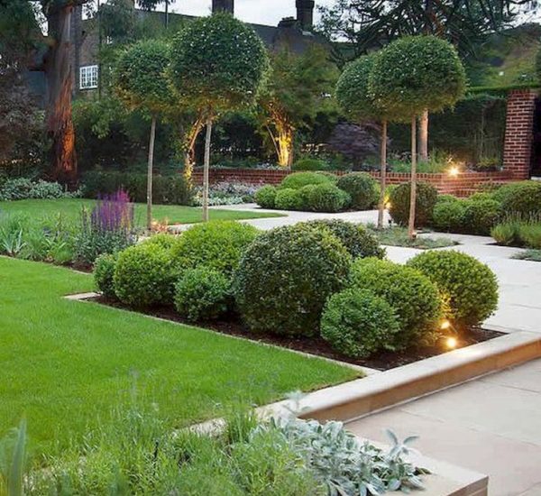 A garden with manicured bushes and trees.